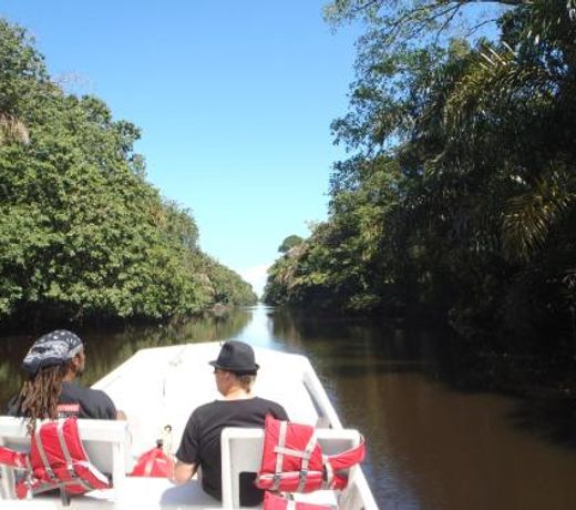 Tortuguero Adventures GuestHouse
