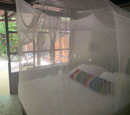 Tunich Jungle CabaÃ±as