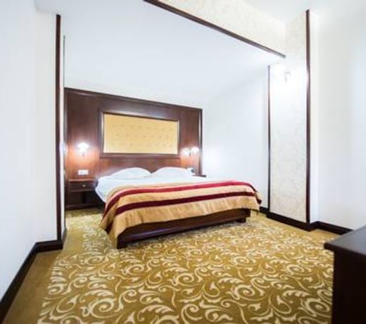 Hotel Silva Busteni