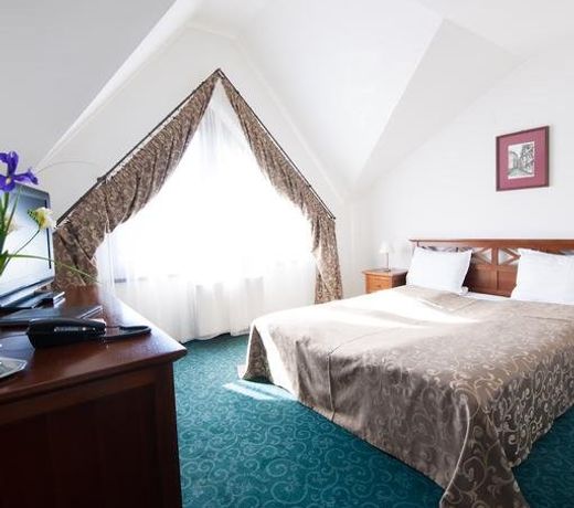 HOTEL ANA INN