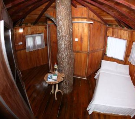 The Tree House