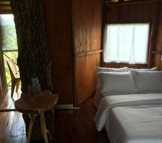 The Tree House