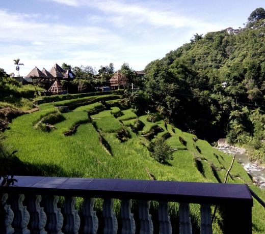 Bogah Home Stay