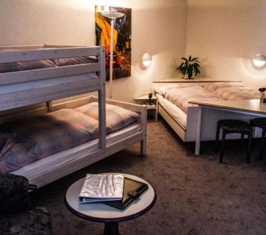 Hotel Viktoria Eden