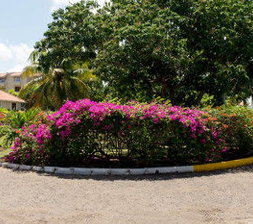 Sea Shell Beach Studio At Montego Bay Club Resort