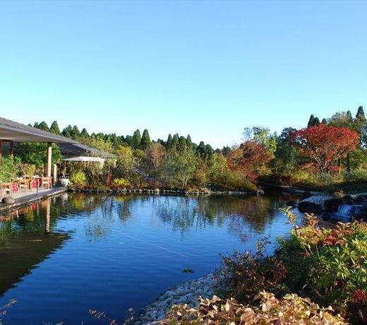 Koyarunosato SANCTUARY FOREST