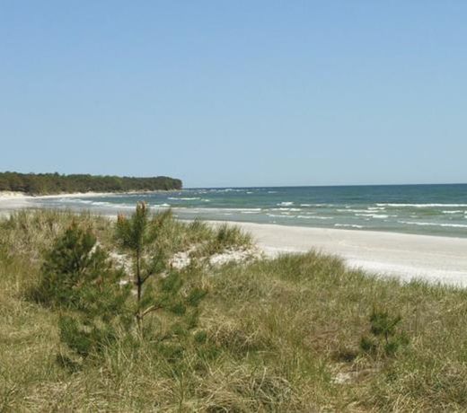 Holiday home HolmegÃ¥rdsvej RÃ¸nne V