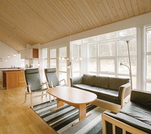 RubinsÃ¸en Skovhuse Hasle XI