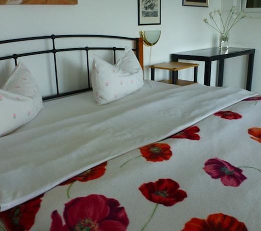 GUESTHOUSE LUTKA