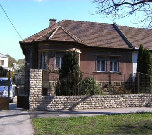 Haus in Budapest mit Garten