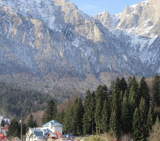 Pensiunea Casa Maria