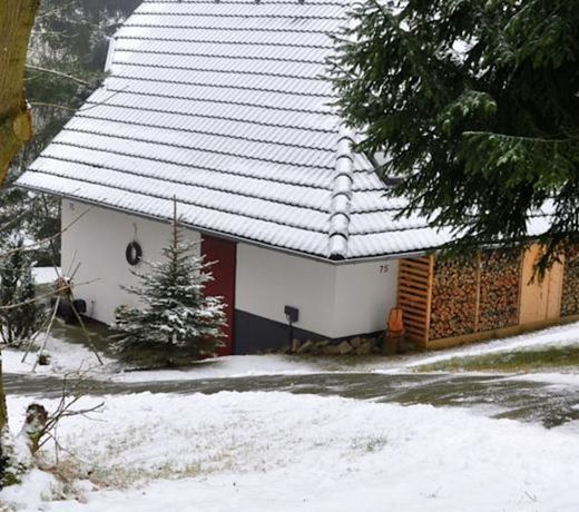 Spacious Holiday home in Feriendorf Frankenau near Forest