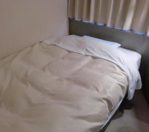Tsuyama Central Hotel Annex