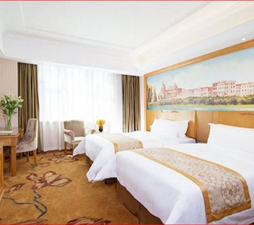 Vienna Hotel