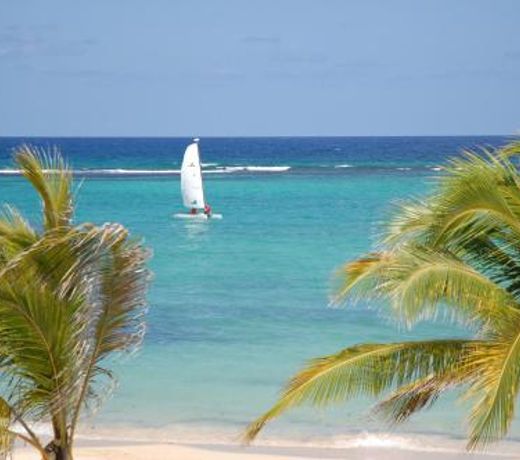 ONE LUXE JAMAICA VILLA with private pool, modern interior and secluded