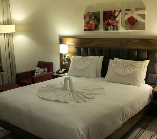 Hilton Garden Inn Eskisehir