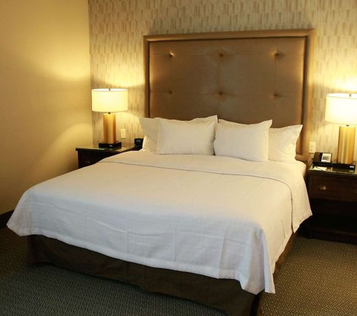 Homewood Suites by Hilton Dallas Arlington South