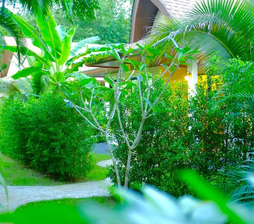 The Nature House Aonang Krabi Thailand
