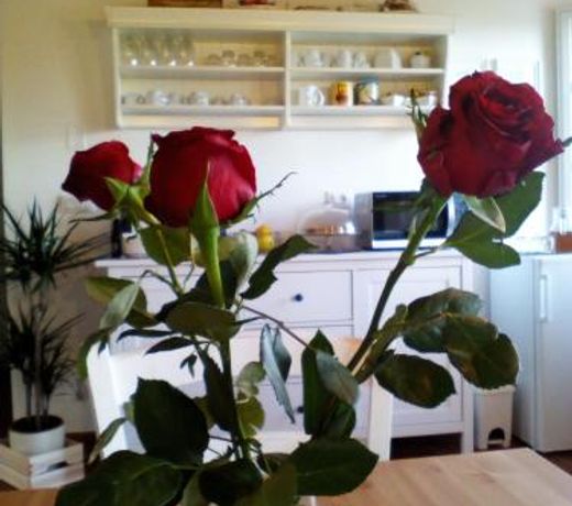 Dimora San Lazzaro B&B