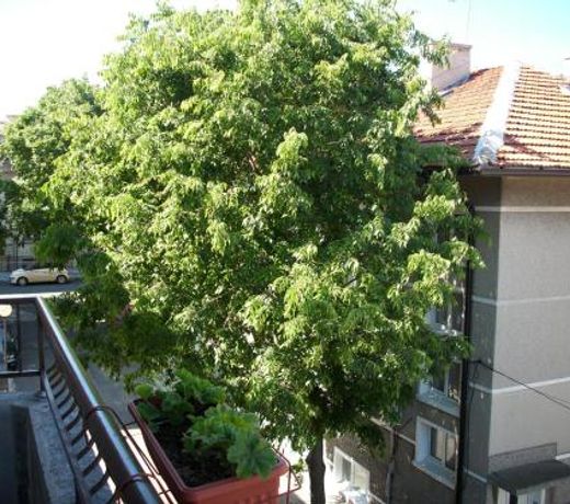 Georgievi Guest House