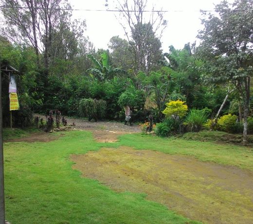 Kampung Penambang Homestay