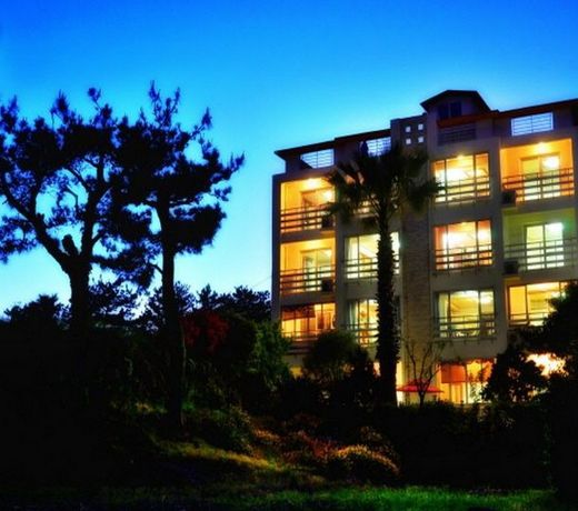 Seogwipo Livingstone Pension