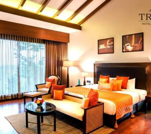 Trivik Hotels & Resorts, Chikmagalur