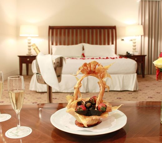 Hotel Torremayor Lyon