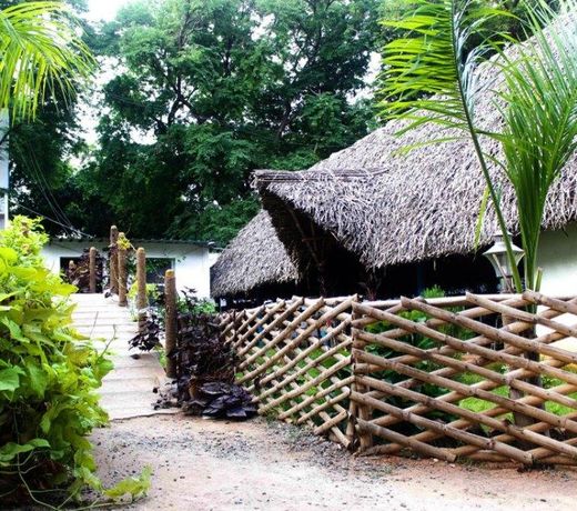 Auro Resort