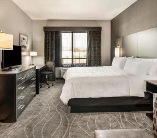 Holiday Inn Hotel & Suites Silicon Valley â Milpitas, an IHG Hotel