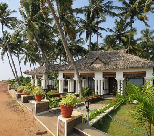 PALM TREE BUNGALOW