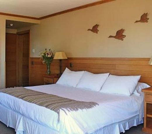 Hotel Puelche