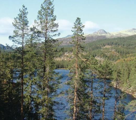 Holiday home Tuddal FikstjÃ¸nn Hyttefelt