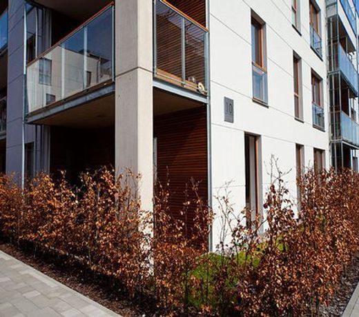 IRS ROYAL APARTMENTS Apartamenty IRS Nadmorski Dwór
