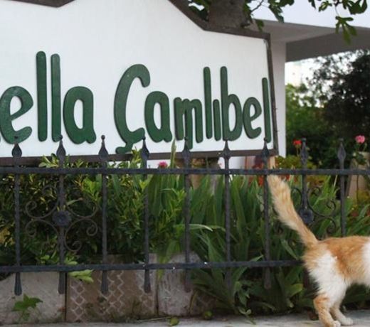 Lella Camlibel-Sut Yumurta Recel