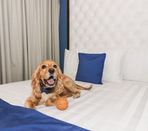 Medano Hotel and Suites