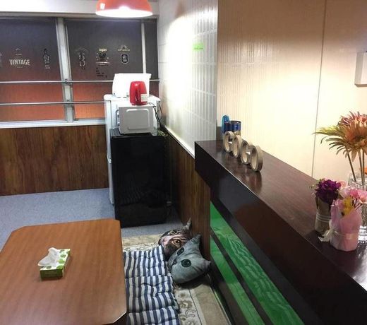 Akatsuka Go Go House - Hostel