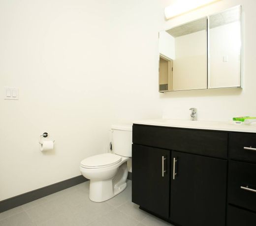 Fully Furnished One Bedroom Apt-Chicago Downtown!