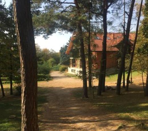 Róża Wiatrów
