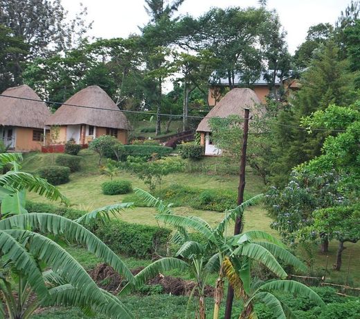 Kitojo Guest Cottages