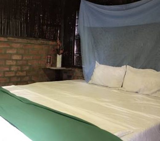 Vu homestay