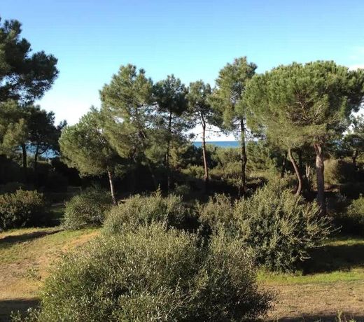 Tenuta le marze