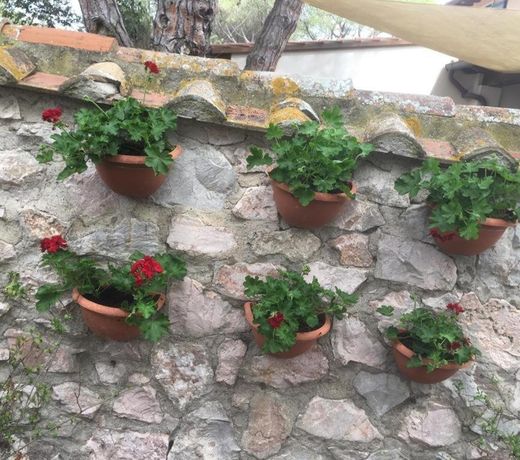 Tenuta le marze