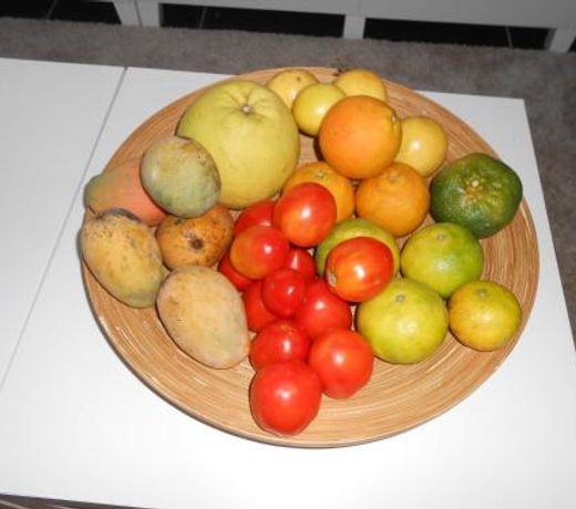 Palm Village 134