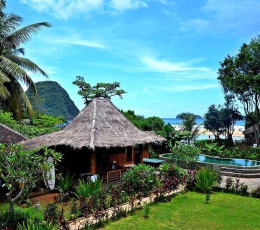 Mojosurf Camp Red Island