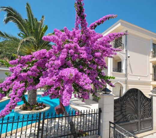 Villa St.George