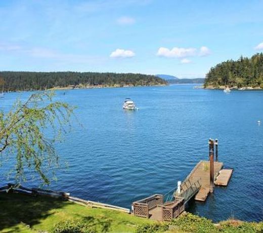 Friday Harbor Lights