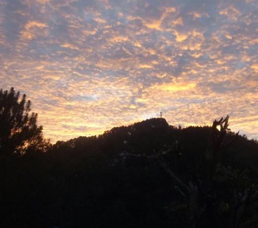 Emerald Mirror Guest Ella