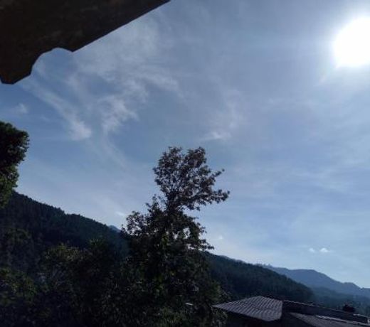 Emerald Mirror Guest Ella