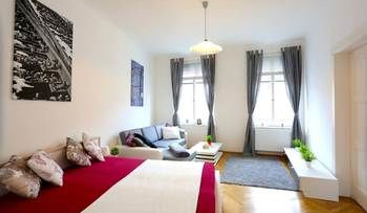 Large Wenceslas Square Apartment